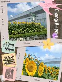  【新加坡旅遊】令人忘記上飛機的機場