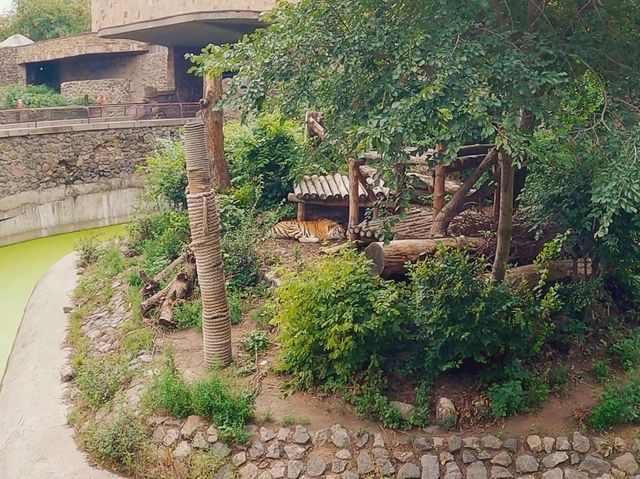 一個努力撇除蘇聯味道的動物園