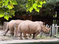 廣州動物園～好多動物睇丫