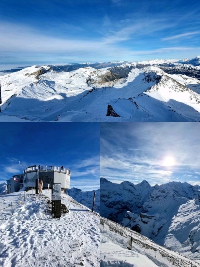🇨🇭 007 Walk of Fame @ Schilthorn 