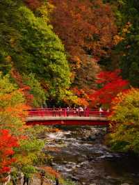 【青森】「ここはすべてが魅力的である。」と海外の文献に残る紅葉スポット🍁観光攻略付き✨