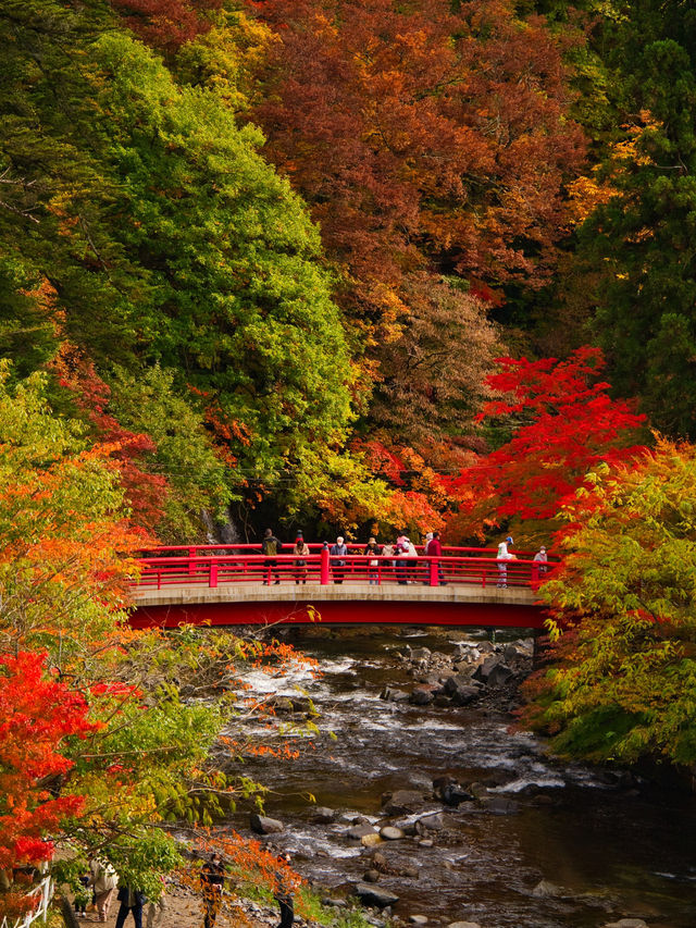 【青森】「ここはすべてが魅力的である。」と海外の文献に残る紅葉スポット🍁観光攻略付き✨