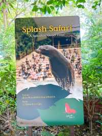 Watching the Wildlife Performances at Singapore Zoo