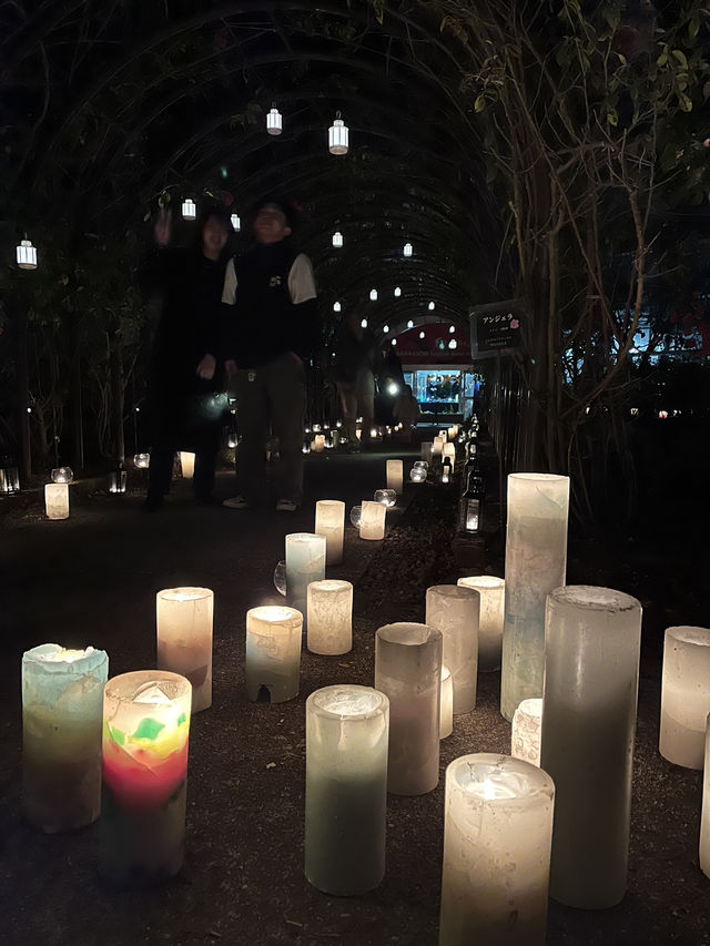 【熊本観光】復興を願うキャンドルの灯りに癒された🕯✨️