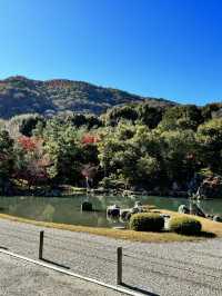 【京都嵐山】世界遺産天龍寺の紅葉✨ 曹源池庭園！
