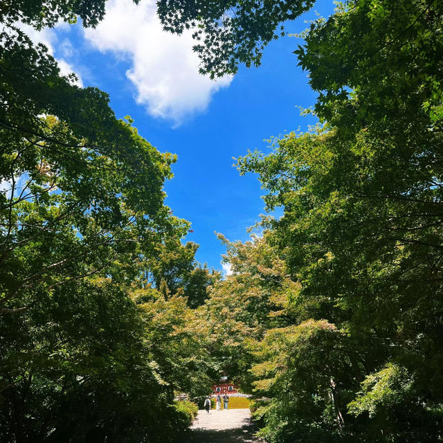 夕滝：青山綠水的瀑布仙境 🌲💦