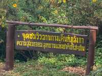ลานกางเต็นท์ภูลังกา จ.พะเยา