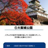 【保存必須!!】2024 大阪の紅葉スポット