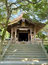 【福岡県】海神の総本社と龍の都