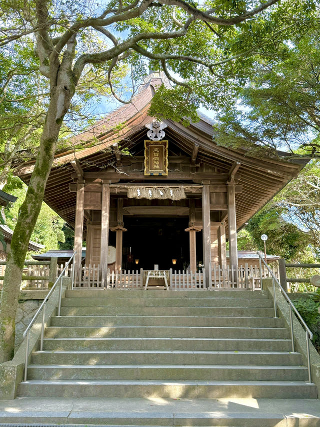 【福岡県】海神の総本社と龍の都