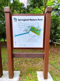 Relaxing Walk at Springleaf Nature Park