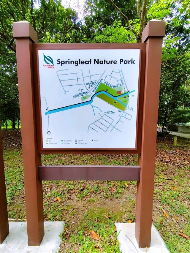 Relaxing Walk at Springleaf Nature Park