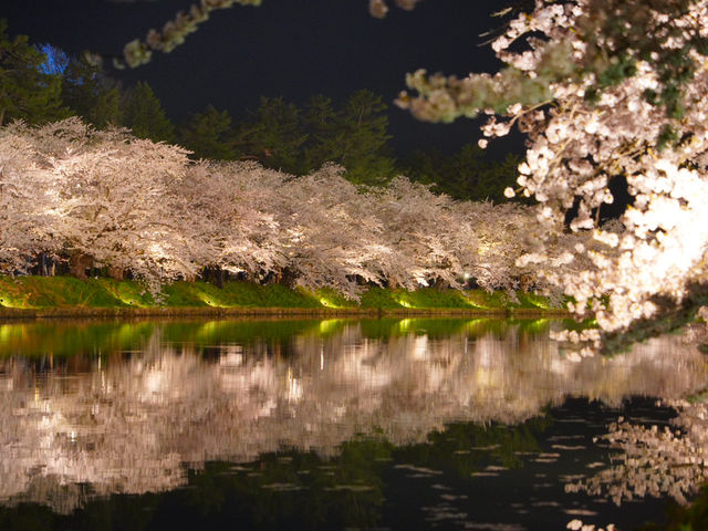 【青森/弘前】しぬまでに見たい弘前城のさくら