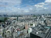 東京涉谷sky景觀台 這邊真的要大推一下！這邊可以俯瞰全東京市區盡收眼底！有樓下玻璃景觀台也有樓上露天景觀