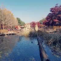 My Island Tour Around Nami Island 🇰🇷