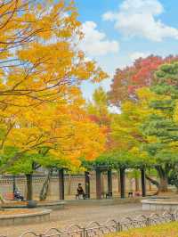 단풍 시즌 가야할 부산 단풍 명소 모음💛