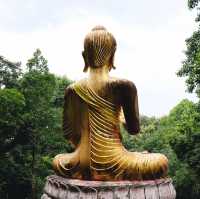 วัดวังรีคีรีวันวนาราม