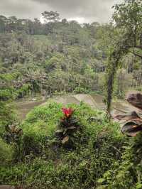 ayung dewata rafting