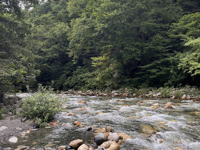 長野県営烏川渓谷緑地 @長野・安曇野🏞️
