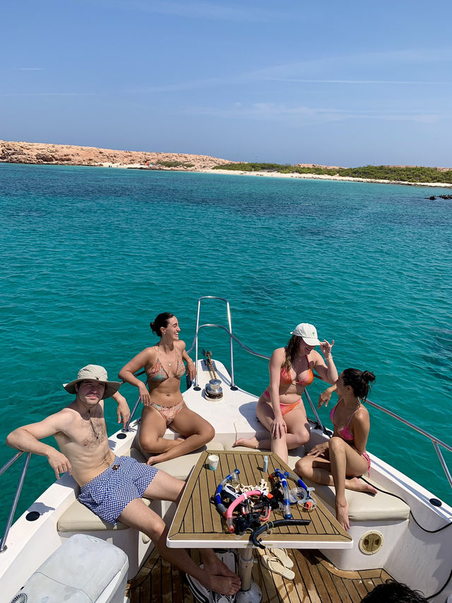 Turtles & Turquoise Waters: The ultimate Al Dimaniyat Island Adventure