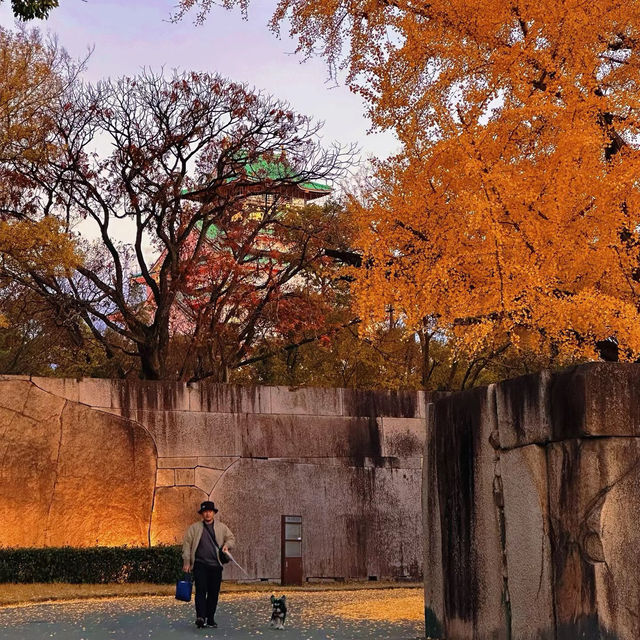 Must visit Nara in Fall