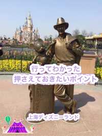 【上海ディズニーランド】満喫するためにぜひ読んでほしいポイント✨
