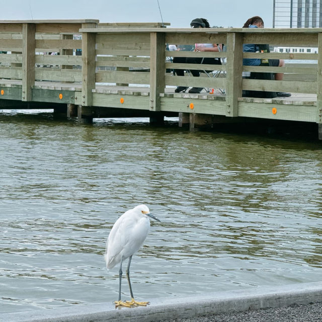 洛斯特湖：自然樂園 🦆🎣
