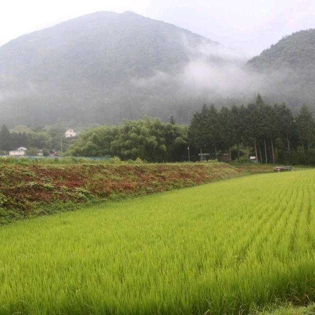 【長野】自然に囲まれた癒しの宿！上松のゲストハウス「きらら」