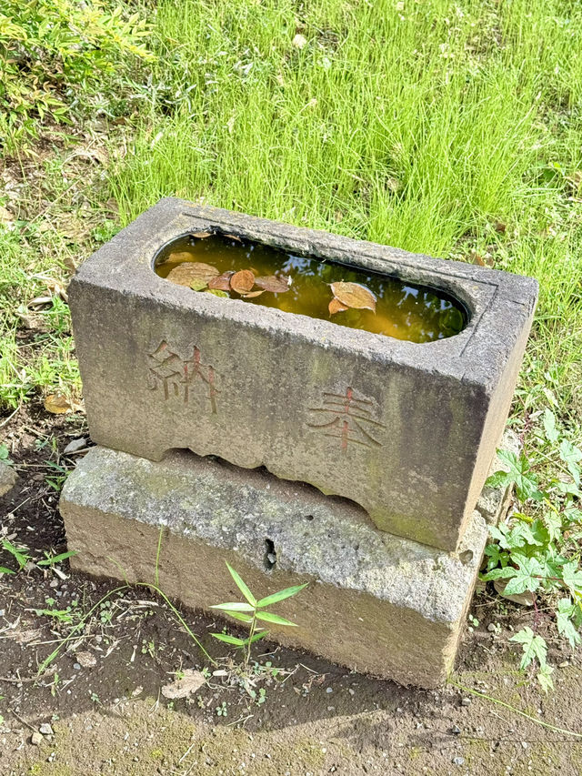 【埼玉県】地域に愛され続けてきた神社