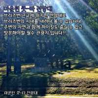 호주 브리즈번 마운틴 쿳-타 전망대와ㅡ식물원🇦🇺