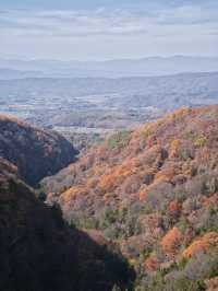 【長野】まさかの道中が美しすぎた🤩紅葉のトンネルが絵になるすぎるスポット🍁