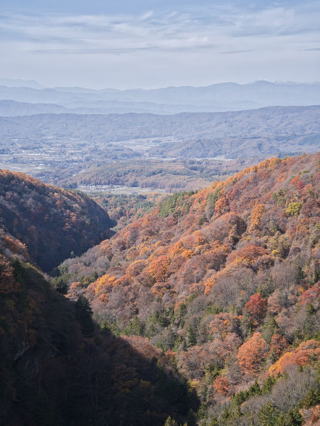 【長野】まさかの道中が美しすぎた🤩紅葉のトンネルが絵になるすぎるスポット🍁