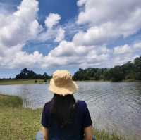 เขาใหญ่ ที่เที่ยวธรรมชาติใกล้กรุง 🌿⛰️