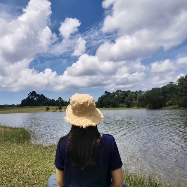 เขาใหญ่ ที่เที่ยวธรรมชาติใกล้กรุง 🌿⛰️