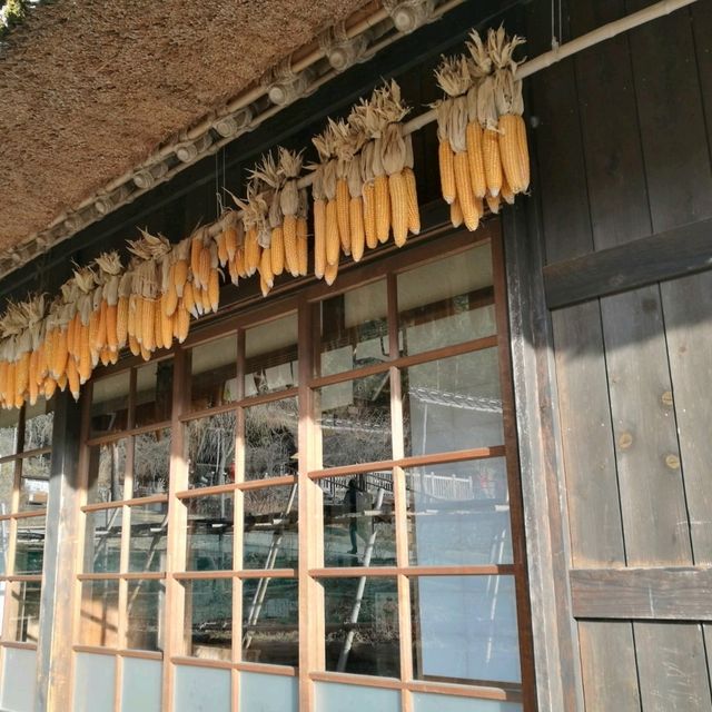 西湖いやしの里根場 東京近郊的合掌村!
