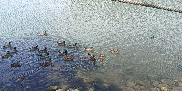 高在蓮池潭風景區/龍虎塔/壽山國家自然公園