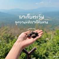 #อุทยานแห่งชาติทับลาน #มรดกโลก #ผาเก็บตะวัน 