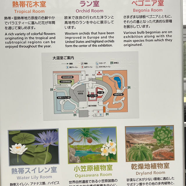 สวนกุหลาบ ที่ Chofu ใกล้โตเกียว