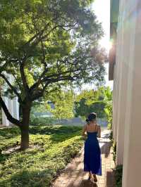 핑강 옆 울창한 녹색 정원에 자리잡은 보금자리 🧚‍♂️💚