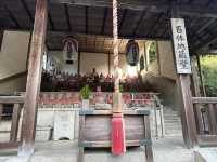 ขอพรวัดวัดคิโยมิซึ วัดดังประจำเมืองเกียวโต