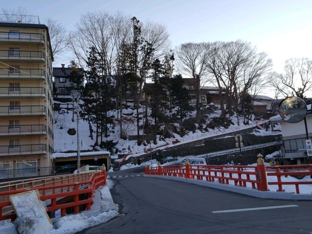 A place where monkeys soak in hot springs