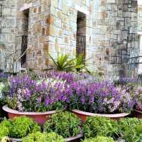 โบสถ์สีชมพู (Domaine de Marie Convent) ดาลัด