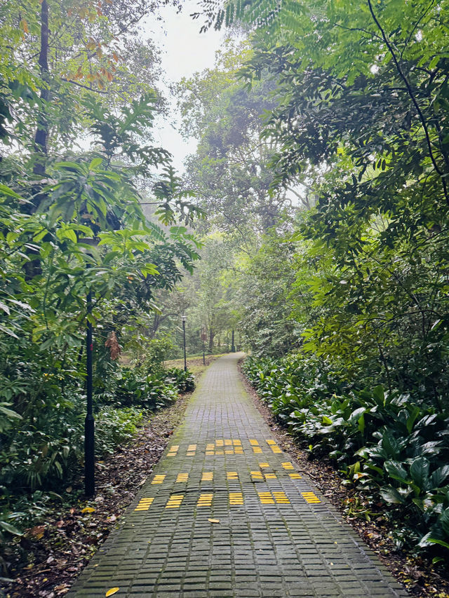 🇸🇬 A Refreshing Escape: Exploring Bukit Batok Nature Park