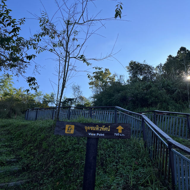 มาแอ่วเหนือที่ ภูชี้ฟ้า ⛅️⛰️ จังหวัดเชียงรายกันจ้า