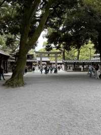 東京明治神宮｜自由行必到