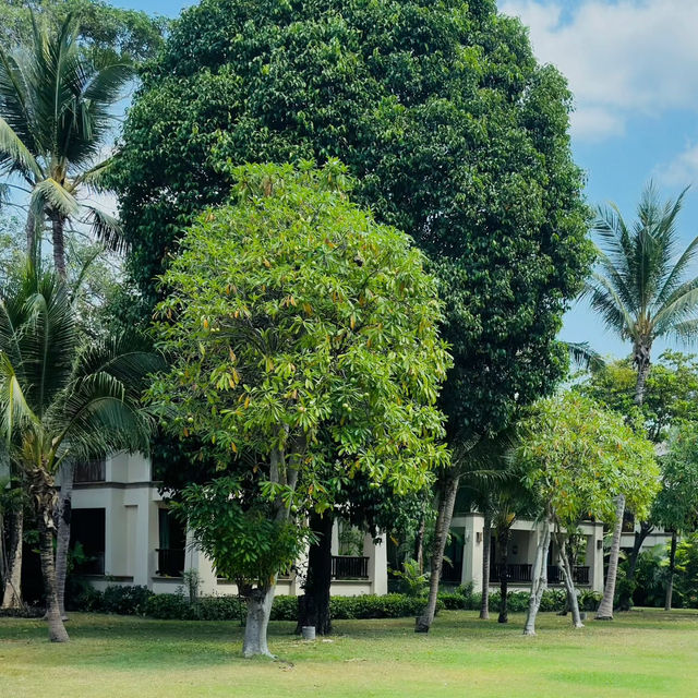 Island Indulgence: My Tranquil Escape to Layana Resort & Spa, Koh Lanta