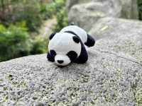 it's PANDA time !!!