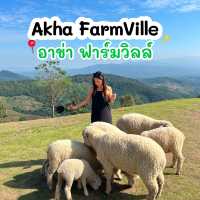 🐑 “อาข่า ฟาร์มวิลล์” ฟาร์มแกะเปิดใหม่เชียงราย 
