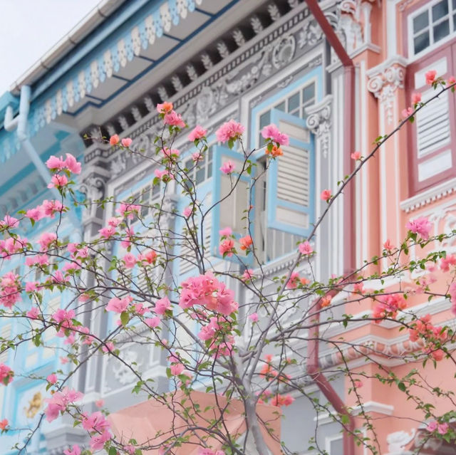 A Kaleidoscope of Heritage: Discovering Joo Chiat Road, Singapore 