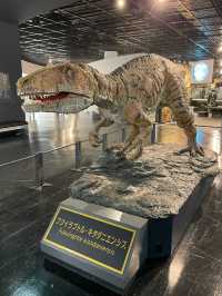 福井観光におすすめ🥰🦕見どころたっぷり！福井県立恐竜博物館🦕